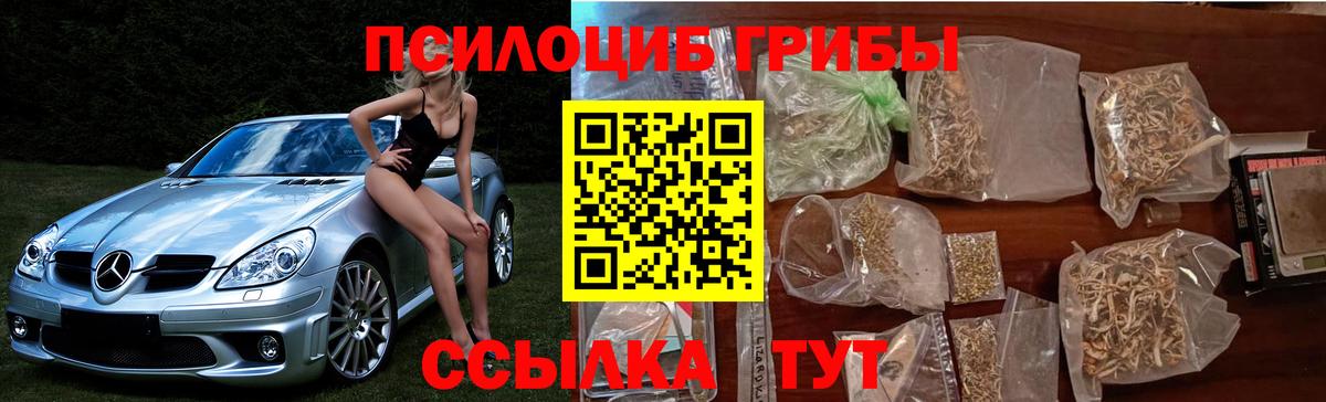 Баксан  Галлюциногенные грибы мухоморы  Вход с VPN  Псилоцибиновые грибы прущие грибы 